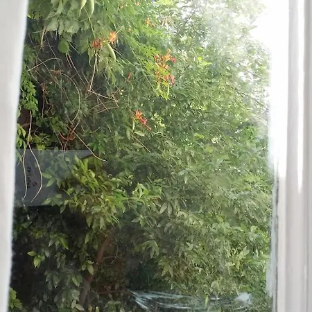 Apartment Calm And Sunny Flat On A Garden *